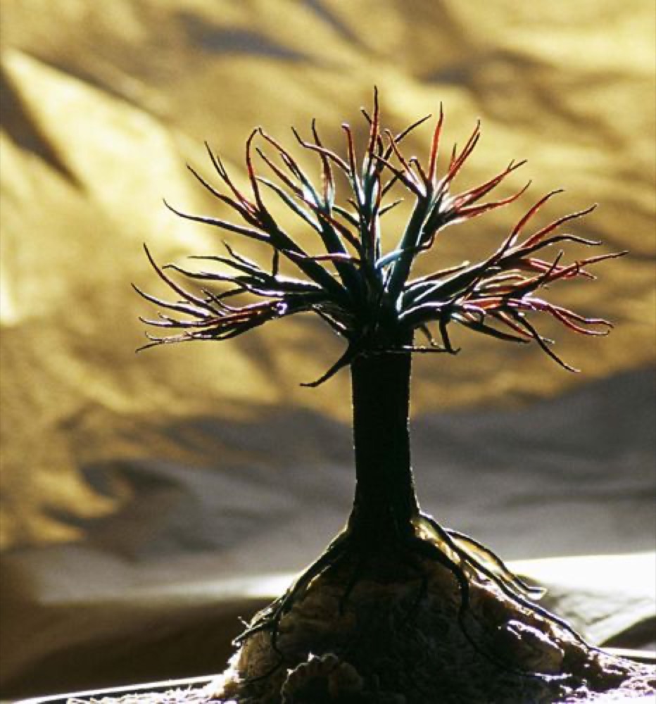 Arbre en papier plié sur fond doré